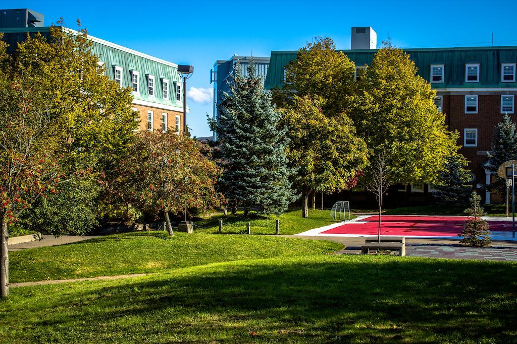 Memorial University St. John's Exterior foto