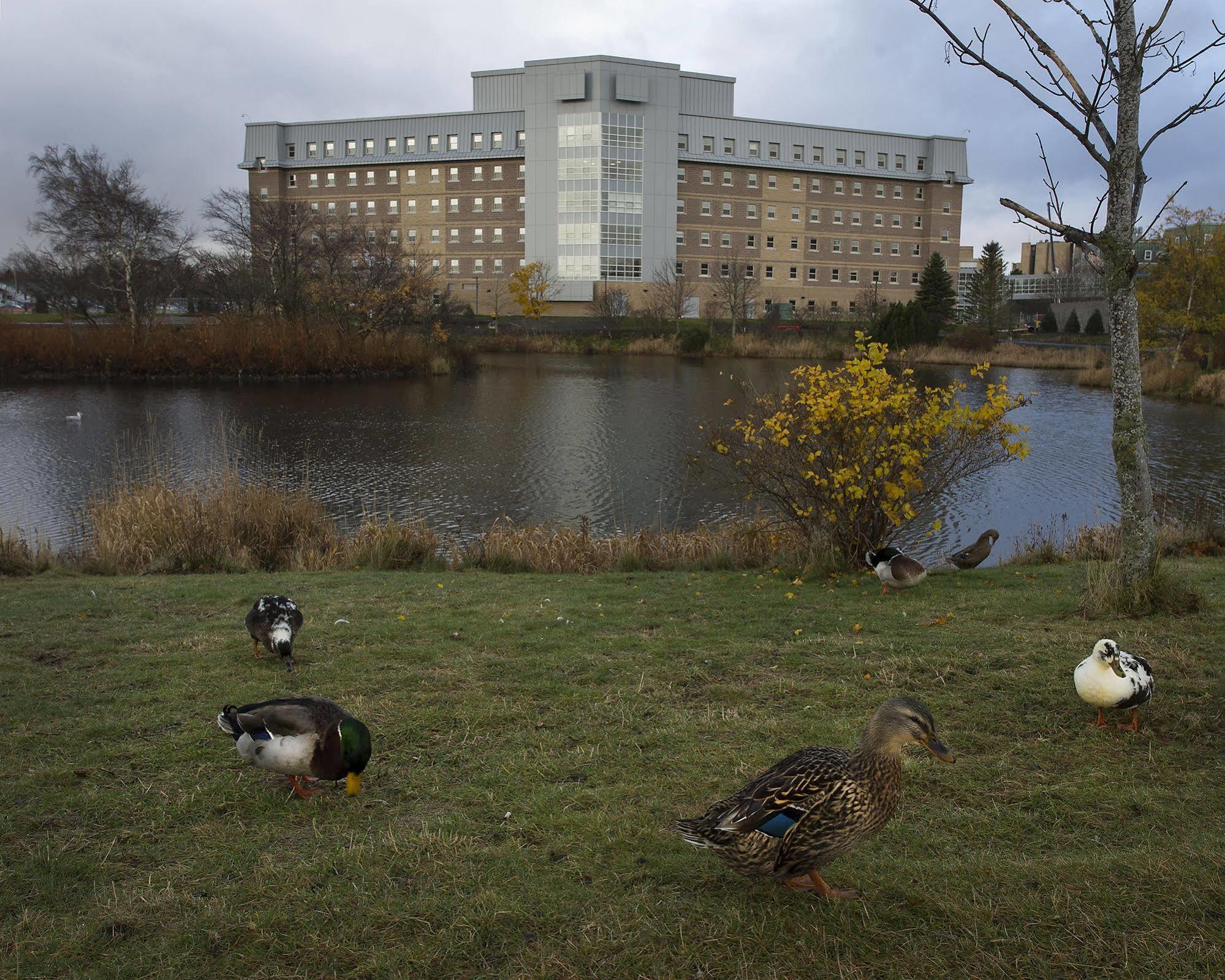 Memorial University St. John's Exterior foto